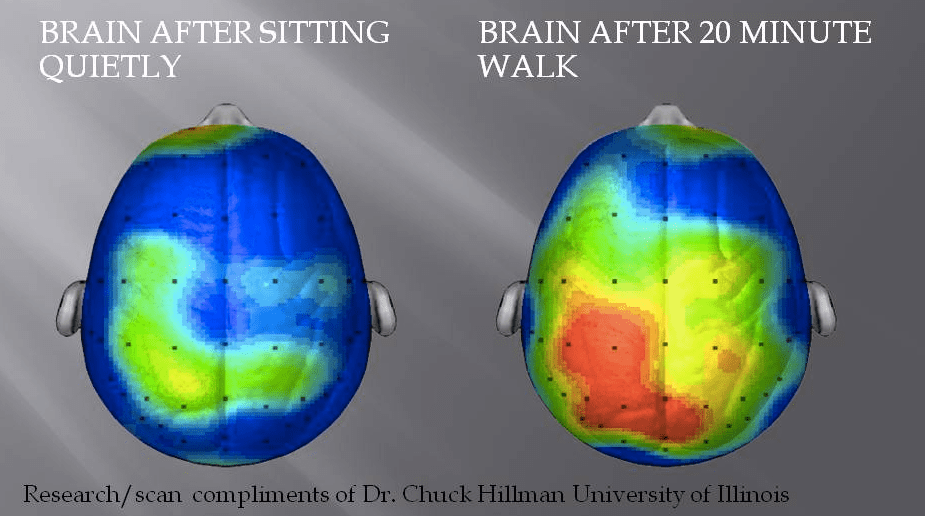 brain activity and breaks